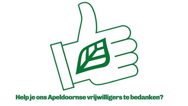 vrijwilligersspeld